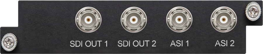 M-DEC-2SDI rear panel